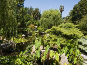 Adelaide Himeji Garden - Attractions Sydney 0