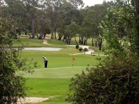 Mount Barker-Hahndorf Golf Club - Attractions Sydney 0