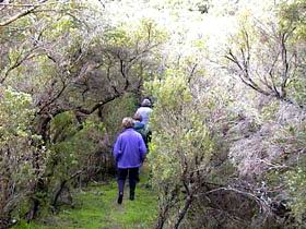 Jack And Hilda McArthur Walk - Attractions Sydney 0