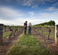 Coonawarra Wineries Walking Trail - Attractions Sydney