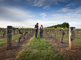 Coonawarra Wineries Walking Trail - Attractions Sydney 0