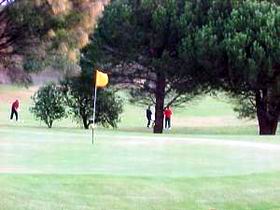 Meningie Lake Albert Golf Club - Attractions Sydney 0
