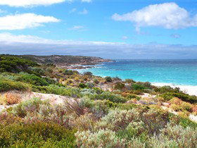 Marion Bay SA Attractions Sydney