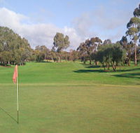 Regency Park Golf Course - Attractions Sydney