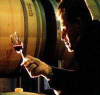 Salena Estate Wines - Attractions Sydney