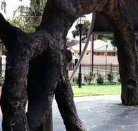 Old Gum Tree - Attractions Sydney