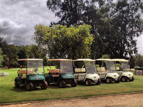 Loxton Golf Club - Attractions Sydney 0