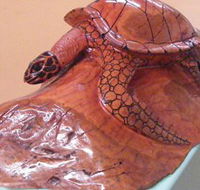 Ants Redgum Gallery - Attractions Sydney