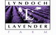 Lyndoch Lavender Farm And Cafe - thumb 0