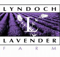 Lyndoch Lavender Farm and Cafe - Attractions Sydney