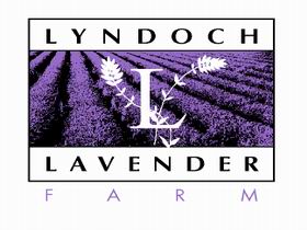 Lyndoch Lavender Farm And Cafe - Attractions Sydney 0