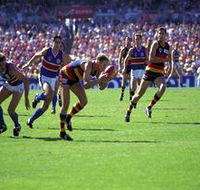 AAMI Stadium Tours - Attractions Sydney