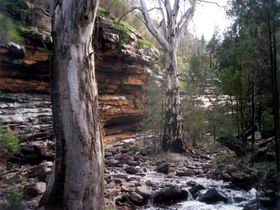 Mambray Creek SA Attractions Sydney