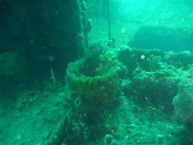 Wallaroo Scuba Club - Attractions Sydney 0