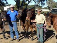 Coffin Bay Brumby Preservation Society Incorporated