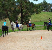 Megan Jones Riding School and Trail Rides - Attractions Sydney
