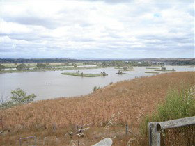 Sunnyside Reserve Lookout - Attractions Sydney 0