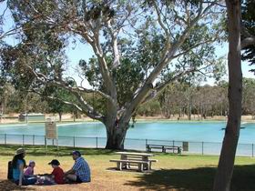 Naracoorte Nature Park And Swimming Lake - Attractions Sydney 0