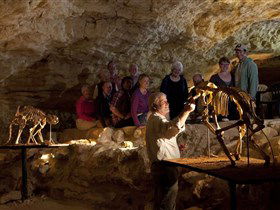 Naracoorte Caves National Park - Attractions Sydney 0