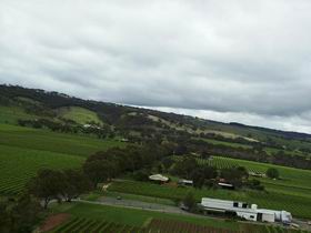 Kangarilla Road Vineyard And Winery - Attractions Sydney 0