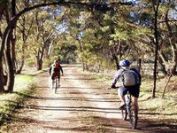 Bike About Mountain Bike Tours And Hire
