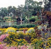Wittunga Botanic Garden - Attractions Sydney
