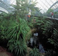 Bicentennial Conservatory - Attractions Sydney