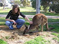 Book Keith Accommodation Vacations Attractions Sydney Attractions Sydney