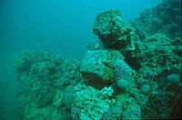 Book Port Willunga Accommodation Vacations Attractions Sydney Attractions Sydney