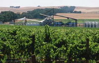 Kirrihill Wines