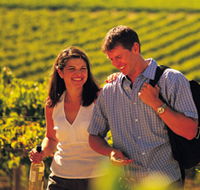 Lady Bay Vineyard - Attractions Sydney
