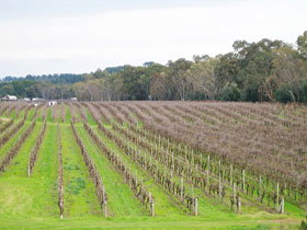 Dennis Wines - Attractions Sydney 0
