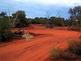 Tallaringa Conservation Park - Attractions Sydney 0