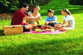  Attractions Sydney