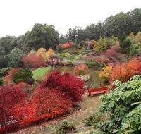 Emu Valley Rhododendron Garden - Attractions Sydney