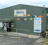 Stanley Seaquarium - Attractions Sydney