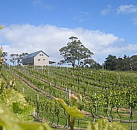 Bruny Island Premium Wines Bar and Grill - Attractions Sydney