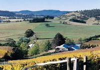 Freycinet Vineyards Pty Ltd