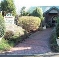 Two Oaks Nursery Gallery and Cafe - Attractions Sydney