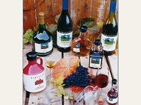 Hartzview Vineyard - Attractions Sydney 0