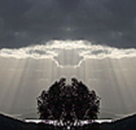 aart. Gallery of Fine Art - Attractions Sydney