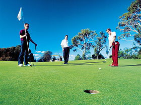 Dover Golf Club Inc - Attractions Sydney 0