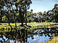 Book Smithton Accommodation Vacations Attractions Sydney Attractions Sydney