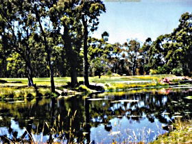Smithton Country Club - Attractions Sydney 0