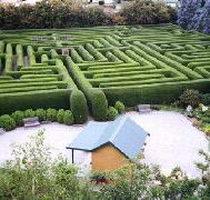 Westbury Maze and Tea Room - Attractions Sydney