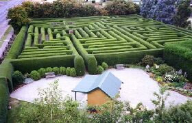 Westbury Maze And Tea Room - Attractions Sydney 0