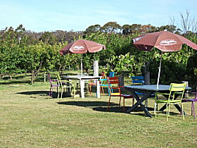Cerise Brook Orchard & Family Golf - Attractions Sydney 0