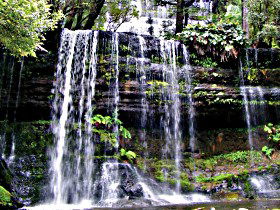 Mt Field National Park - Attractions Sydney 0
