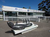 Australia's Antarctic Headquarters
