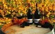 Craigow Vineyard - thumb 0